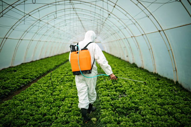 Professional Pest Control in Pinetop Country Clu, AZ
