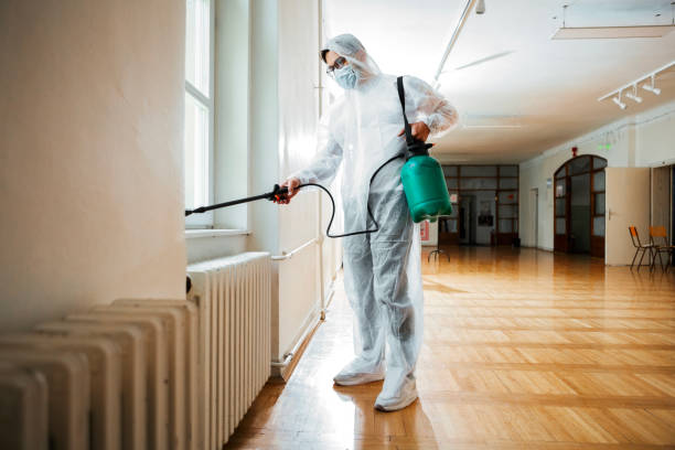 Best Local Pest Control Services  in Pinetop Country Clu, AZ